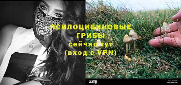 Альфа ПВП Киреевск