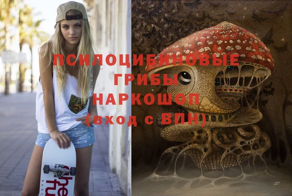мдпв Киренск
