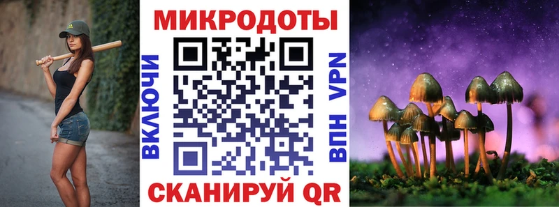 Псилоцибиновые грибы Psilocybe  Купить  Воркута 